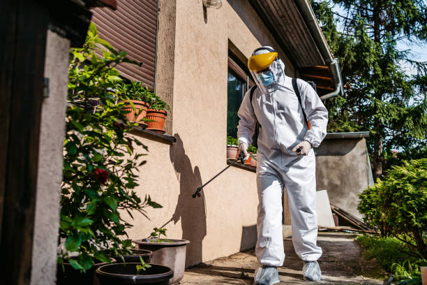 Best Wildlife Control Services  in Walker Mill, MD