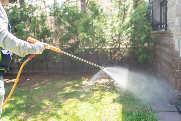 Best Pest Control for Homes  in Walker Mill, MD