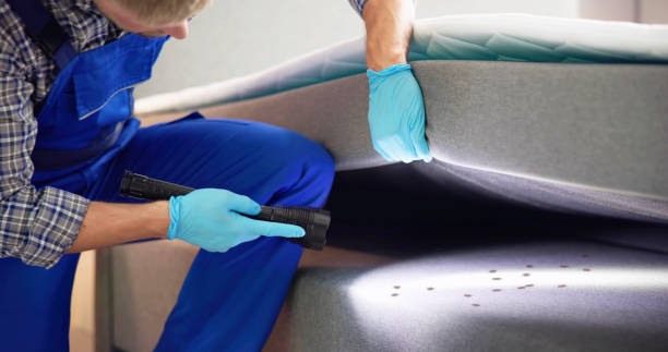 Best Mosquito Control Services  in Walker Mill, MD